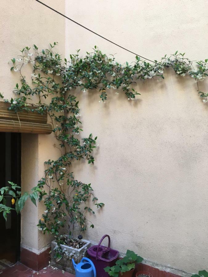 Apartamento Plaza del Rastro Ávila Exterior foto